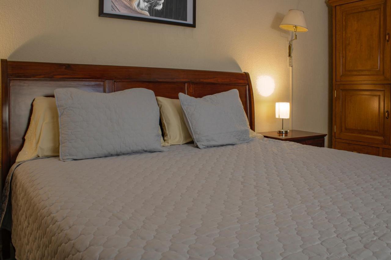 Hotel Gran Domo Leon Bagian luar foto